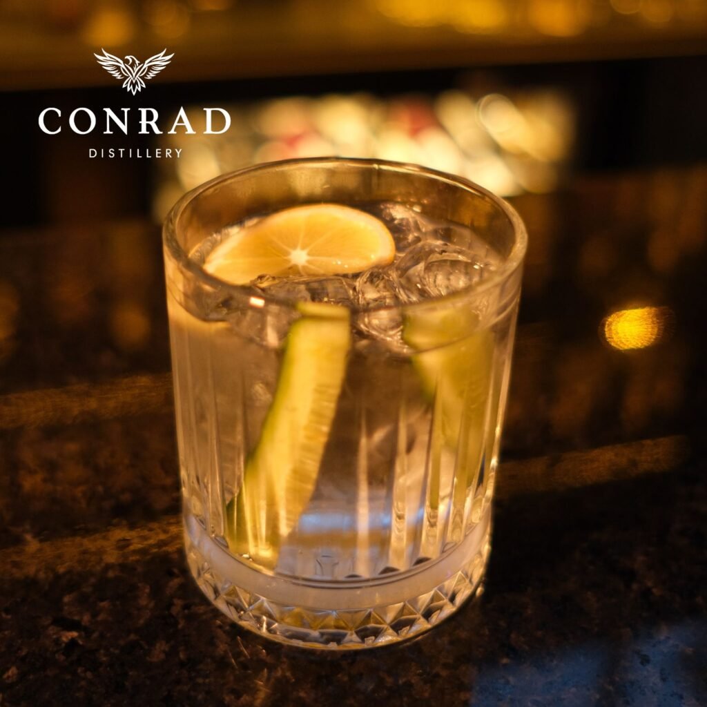 Sloe Gin Fizz cocktail in a rocks glass with cucumber slices and lemon on a dimly lit bar counter