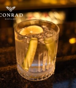 Sloe Gin Fizz cocktail in a rocks glass with cucumber slices and lemon on a dimly lit bar counter