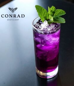 Black Rose Gin Highball – Purple Gin with Mint Garnish