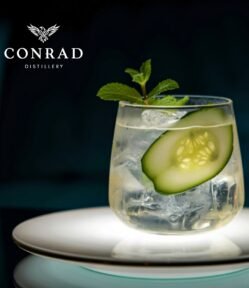 “Conrad Sidecar Gin and Tonic with cucumber slice and mint garnish on a white plate”