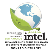 Black Illustrative Education Logo